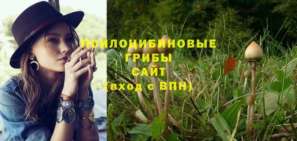 ПСИЛОЦИБИНОВЫЕ ГРИБЫ Магас