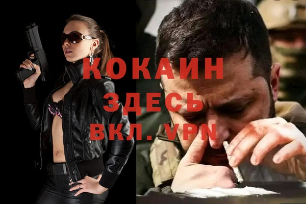 ПСИЛОЦИБИНОВЫЕ ГРИБЫ Магас