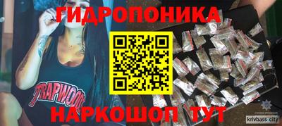 шишки Балашиха