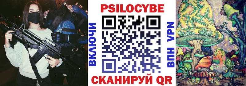 Псилоцибиновые грибы Cubensis  Махачкала 