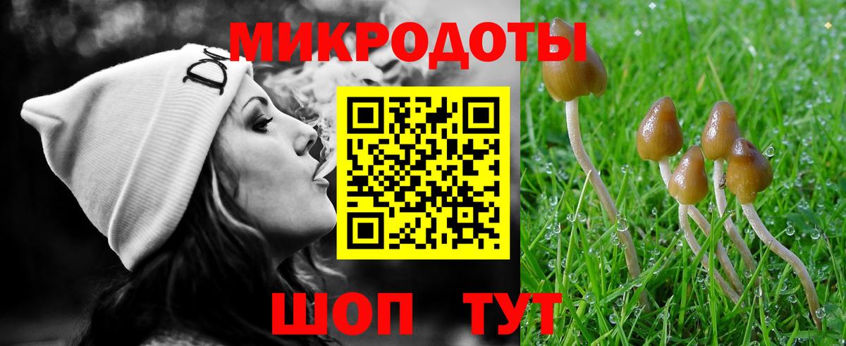 закладка  Махачкала  Галлюциногенные грибы MAGIC MUSHROOMS  Галлюциногенные грибы Cubensis 